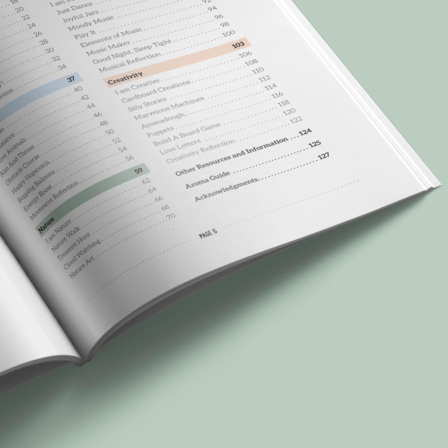 My Amazing Brain Book