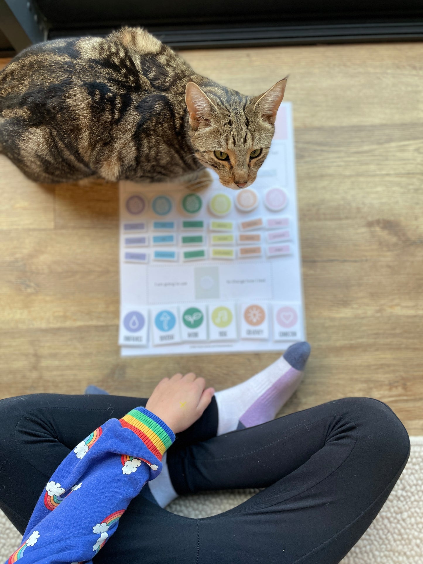 Brainbow™ Emotional Regulation Tool